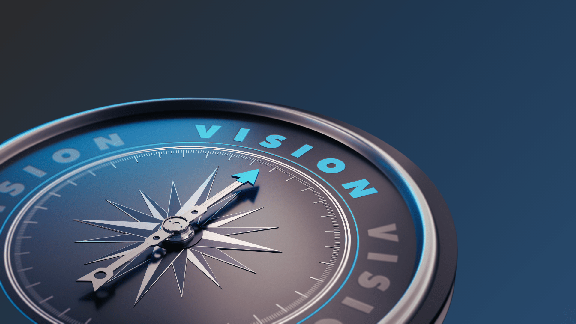 Vision